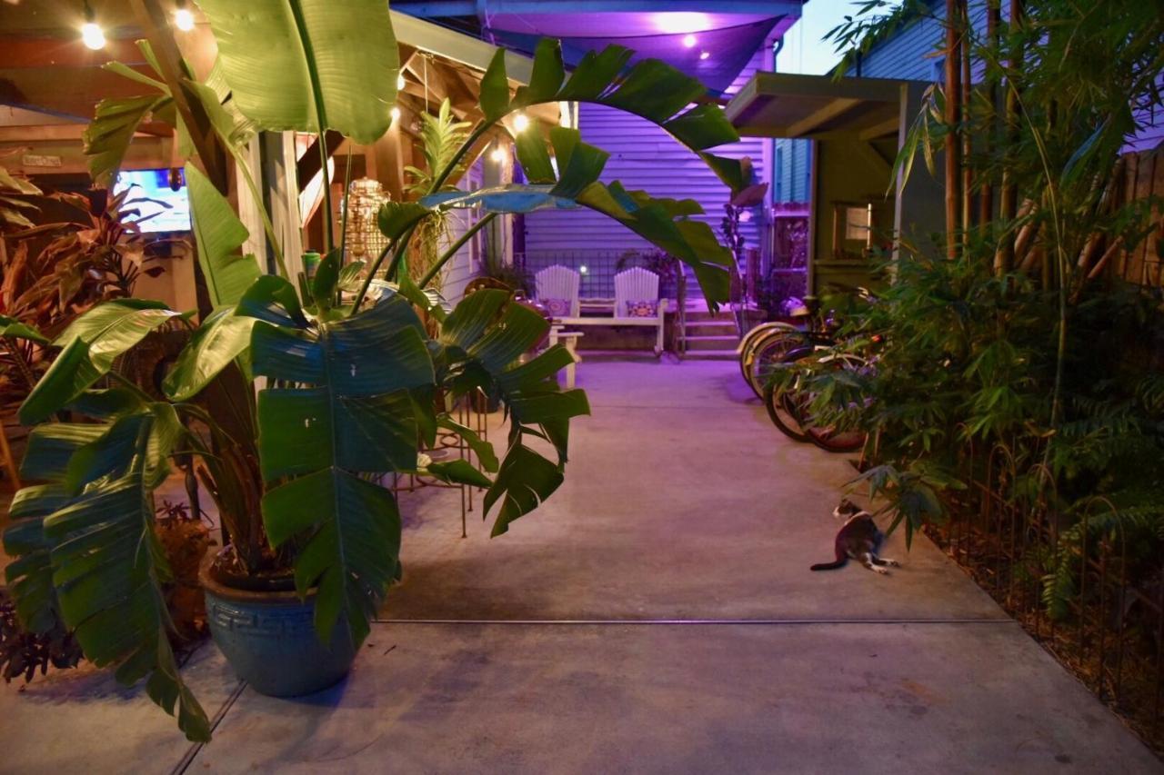 ניו אורלינס The Dragonfly Treme Guest House מראה חיצוני תמונה